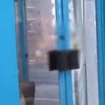 【社会人1年目】ムチムチボディのおっとり美少女とイチャラブハメハメ♡