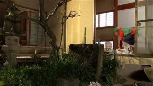 ちびっこたちが節分で鬼に扮した綺麗な婦人たちにエッチなイタズラ！